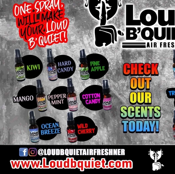 Loud B'Quiet Air Freshener (24 assorted bottles) - Picture 7 of 10